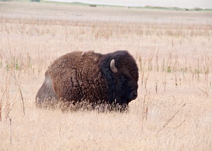 Antelope Island Salt Lake