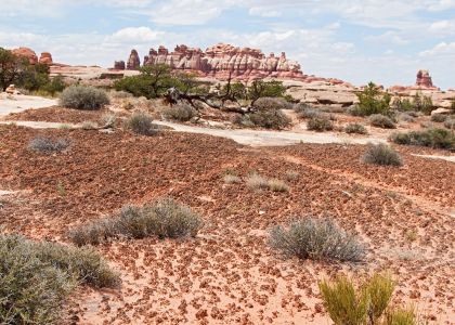 Canyonland South