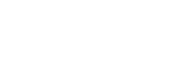 The mint bus